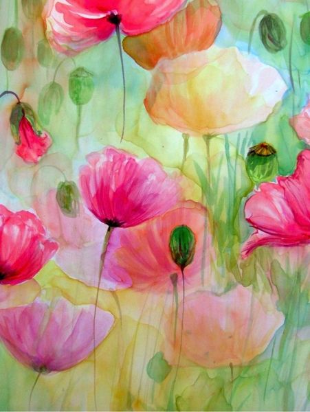 Evelyn Antonyses - Poppies