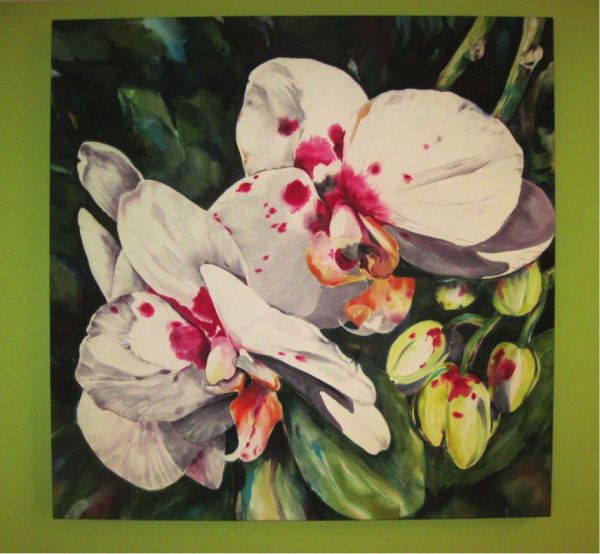 Lynn Meeks, Orchids