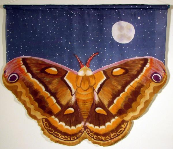 Margaret Agner, Cecropia Moth