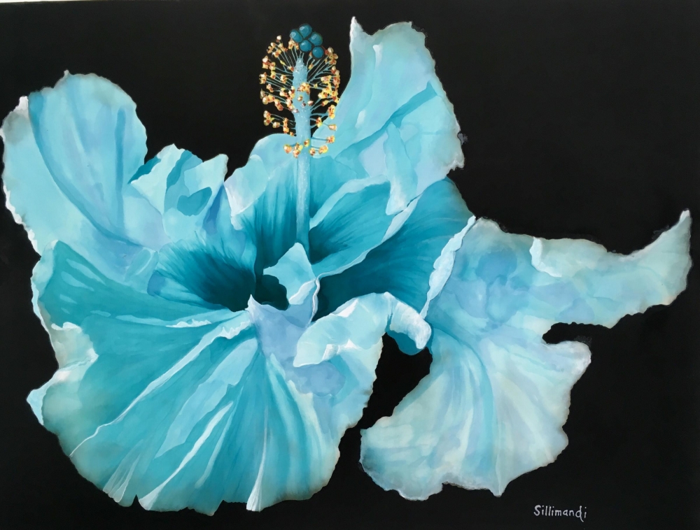 Pat Shough, Hibiscus Blue, Honorable Mention